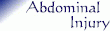 AbdoInjButton.gif (2024 bytes)